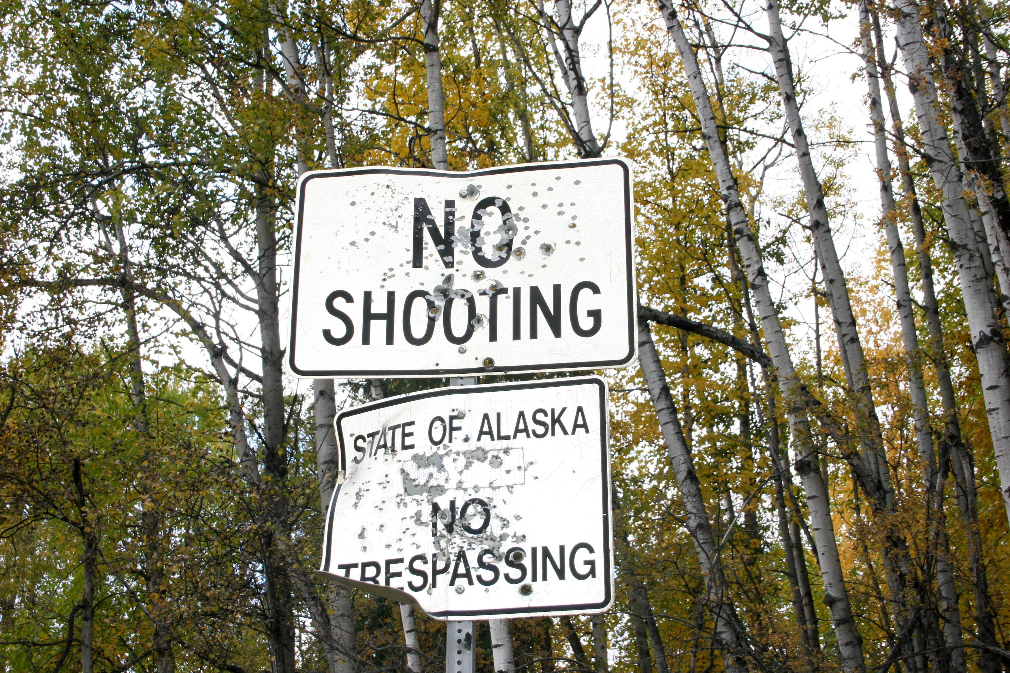 No Shooting Funny Meme — 3504x2336 wallpaper