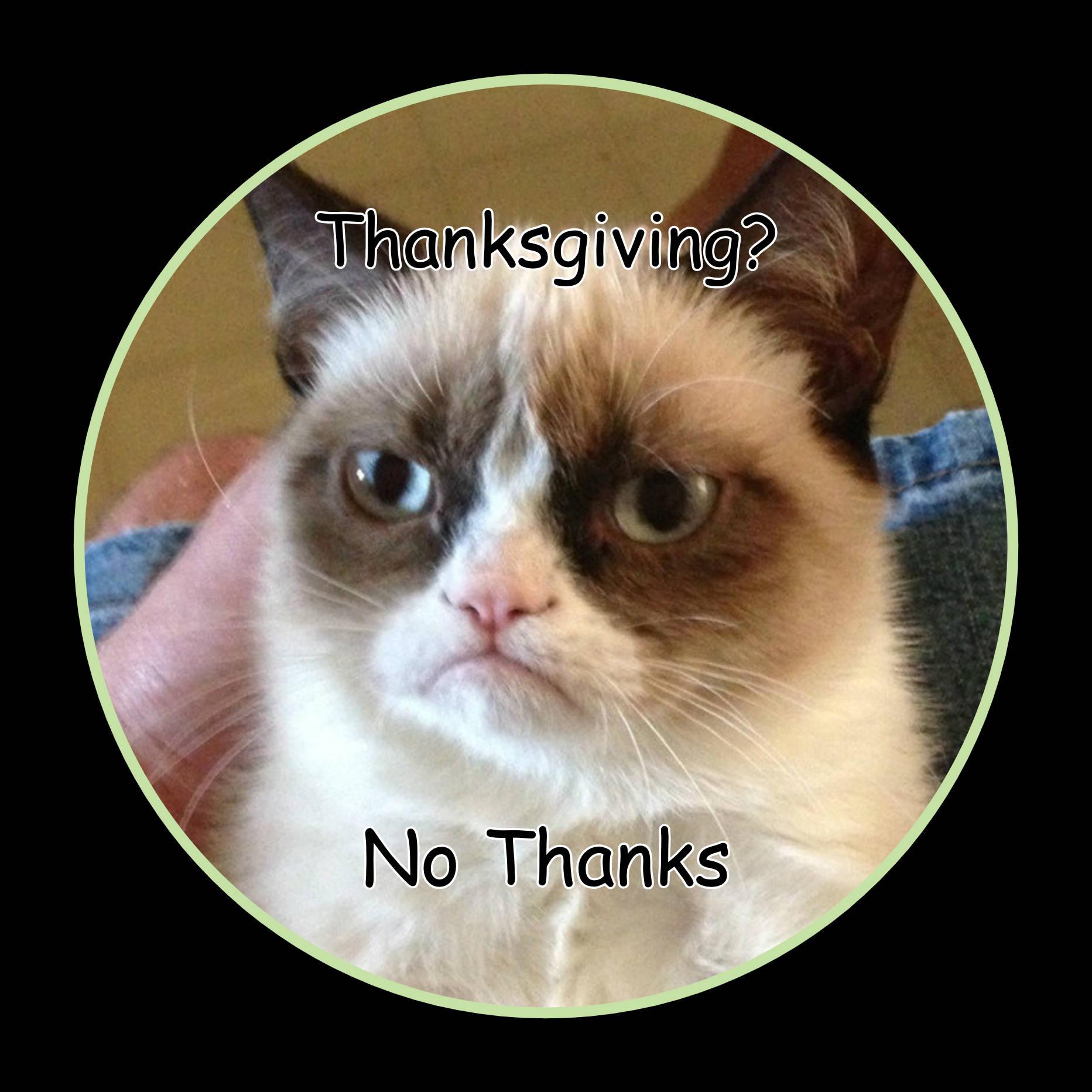 No Thanks Cat Meme PFP — 1865x1865 wallpaper
