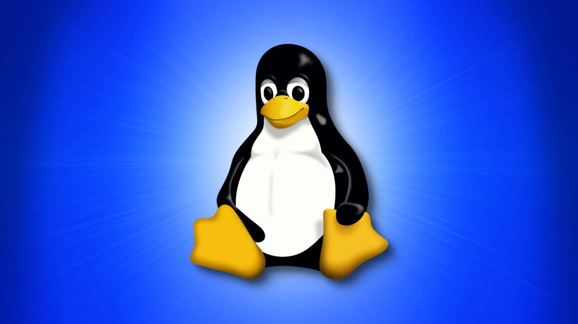 Not Your Regular Operating System: Linux — 2392x1342 wallpaper