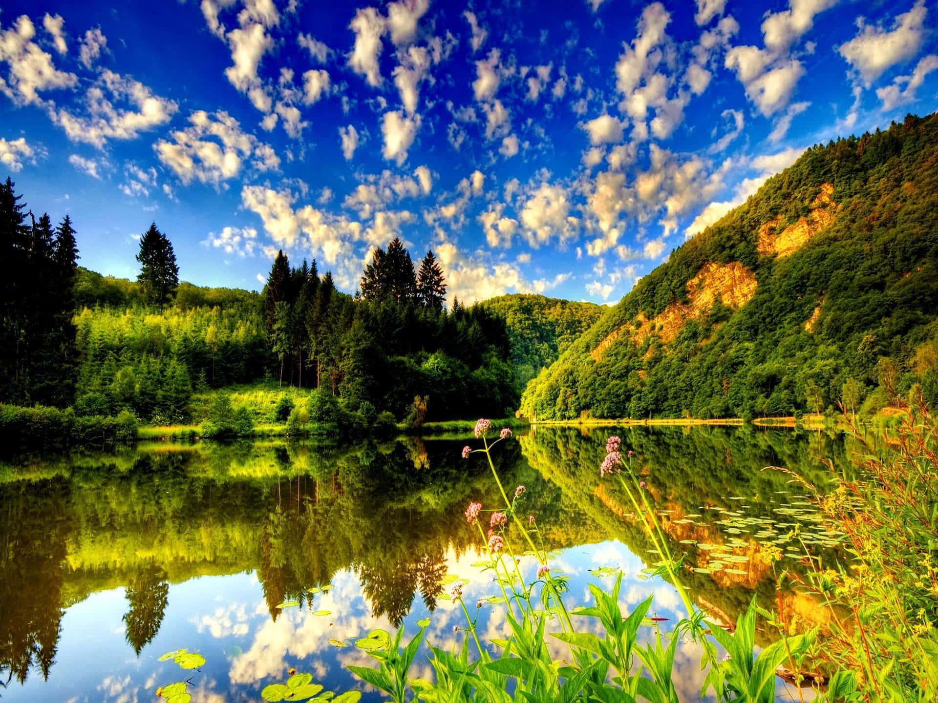 Nothing beats a Succesful Summer — 1920x1440 wallpaper