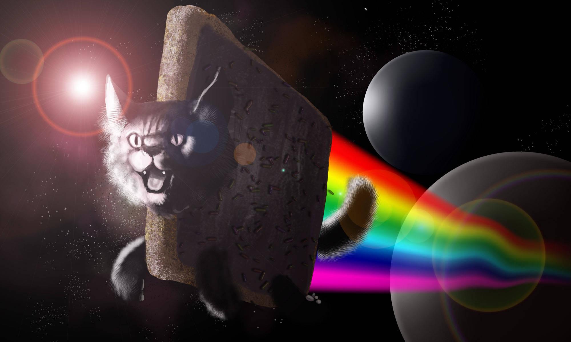 Nyan Cat Space Funny Meme — 2000x1200 wallpaper