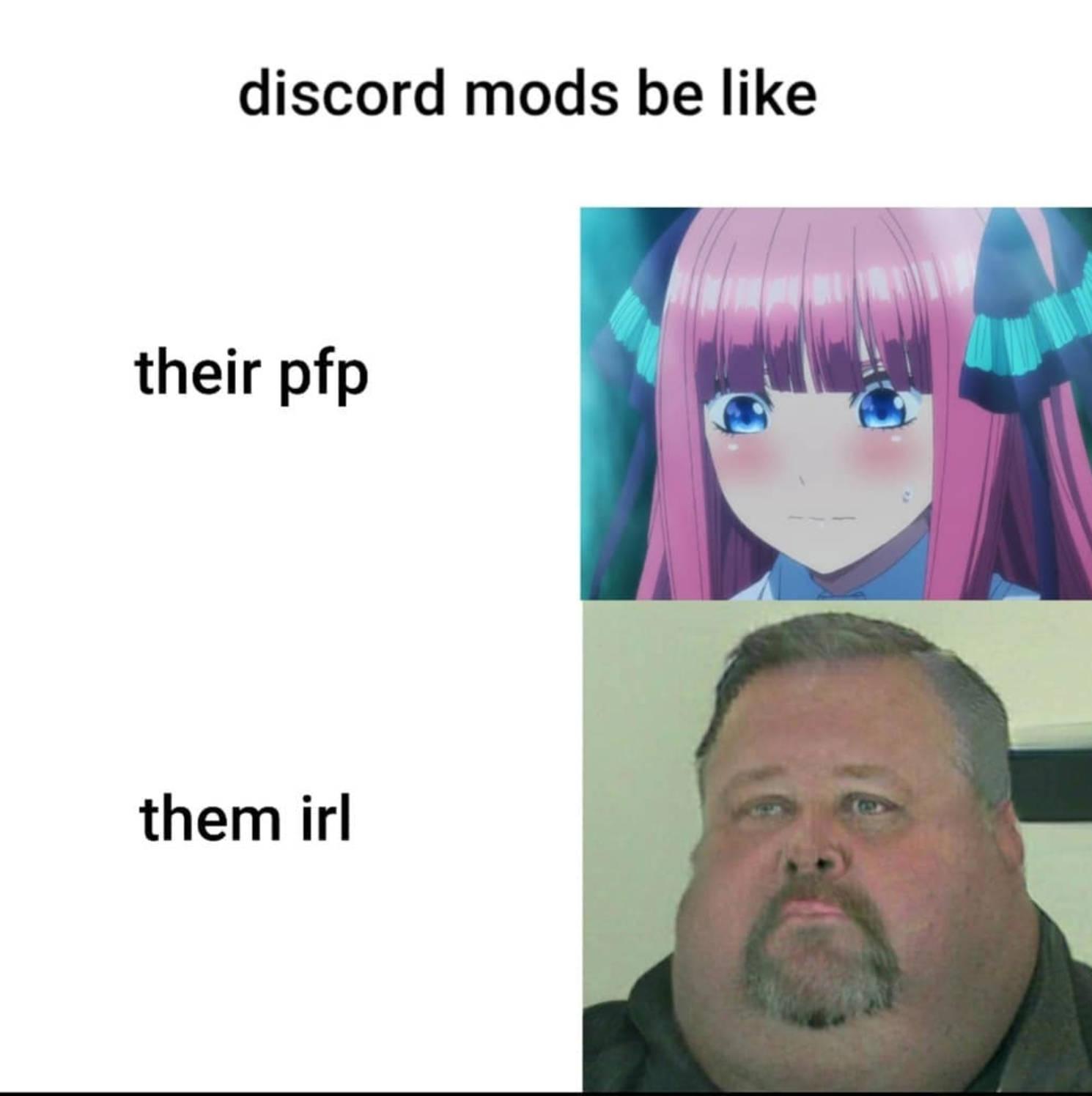 Online Vs Real Life Meme PFP — 1490x1496 wallpaper