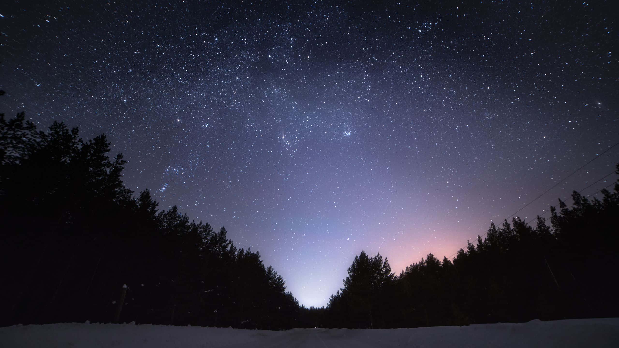 Optimized Image A cute bat silhouette against a star-filled evening sky — 2560x1440 wallpaper