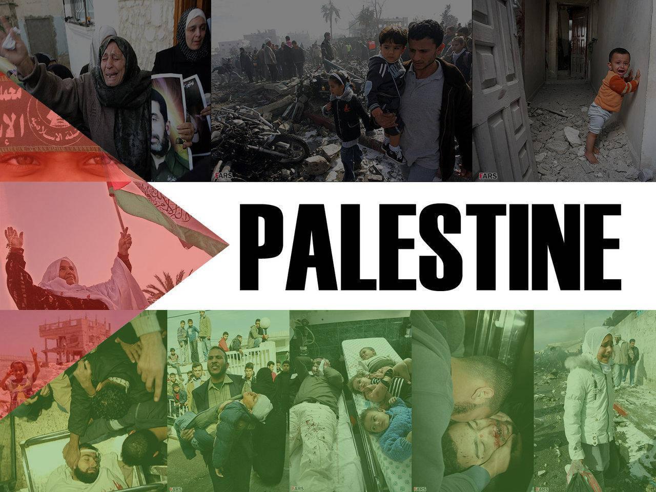 Palestine Flag Collage — 1280x960 wallpaper
