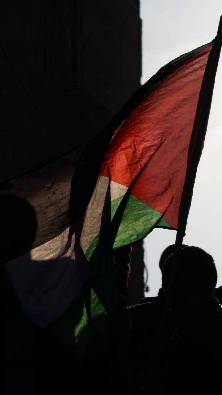 Palestine Flag Silhouette — 720x1280 wallpaper
