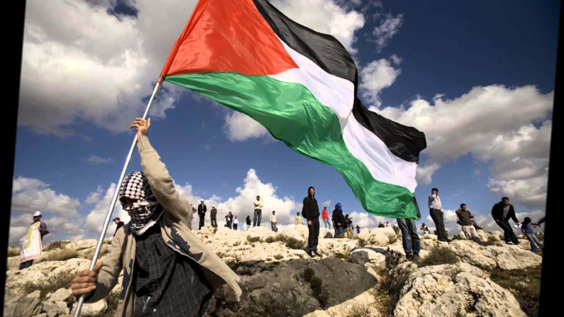 palestinian flags in the sky — 1920x1080 wallpaper
