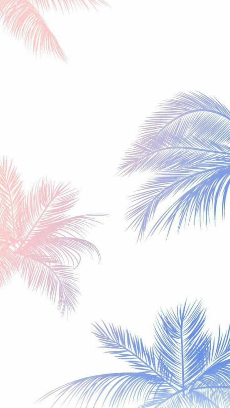 Palm Trees Pretty Phone — 736x1307 wallpaper