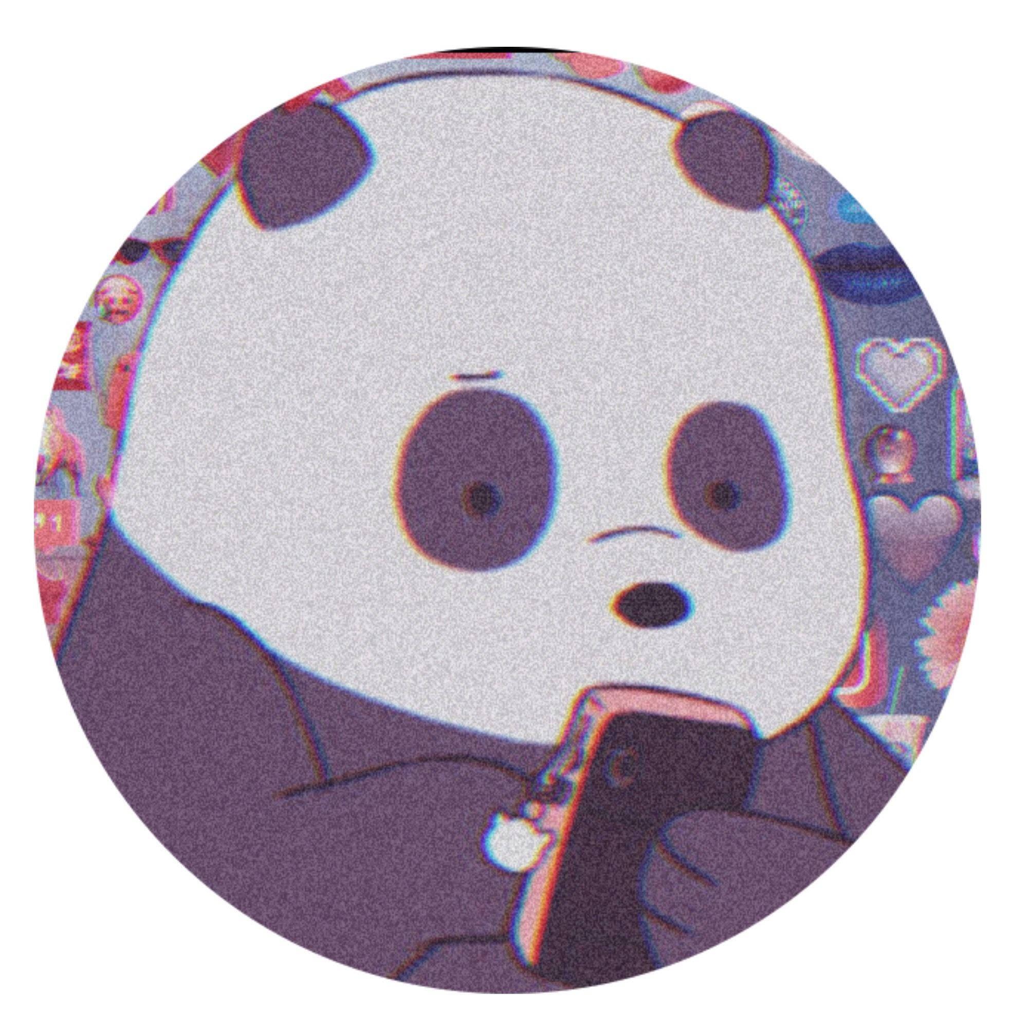 Panda Bear On Phone Instagram PFP — 2000x2000 wallpaper