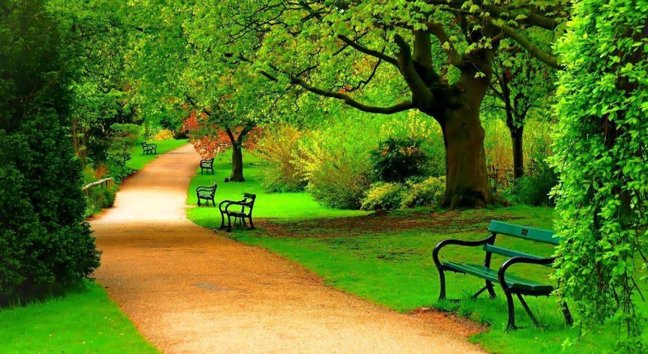 Park Walkway Full Screen Hd Desktop — 1277x699 wallpaper