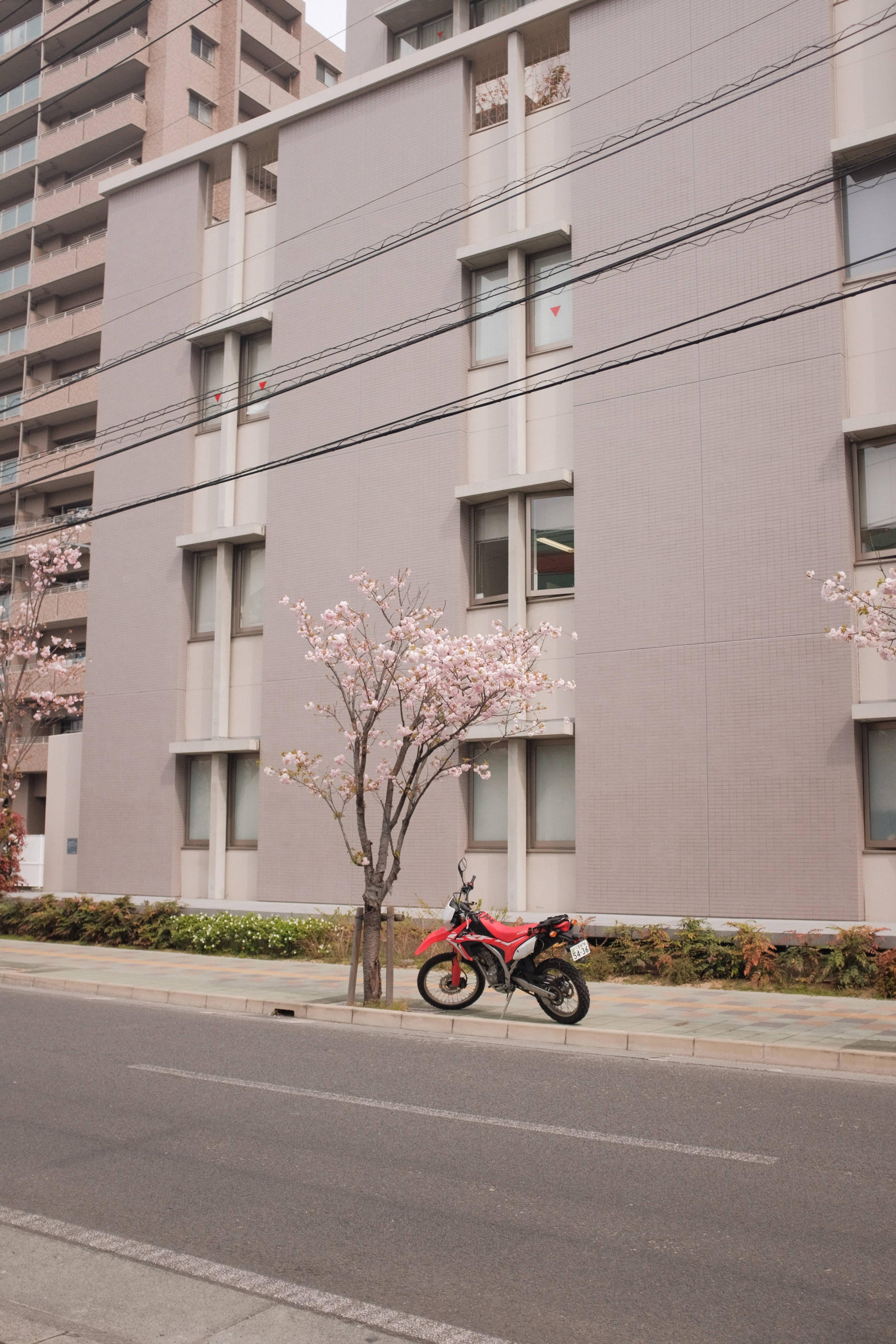 Parked Red Motorcycle — 3072x4608 wallpaper