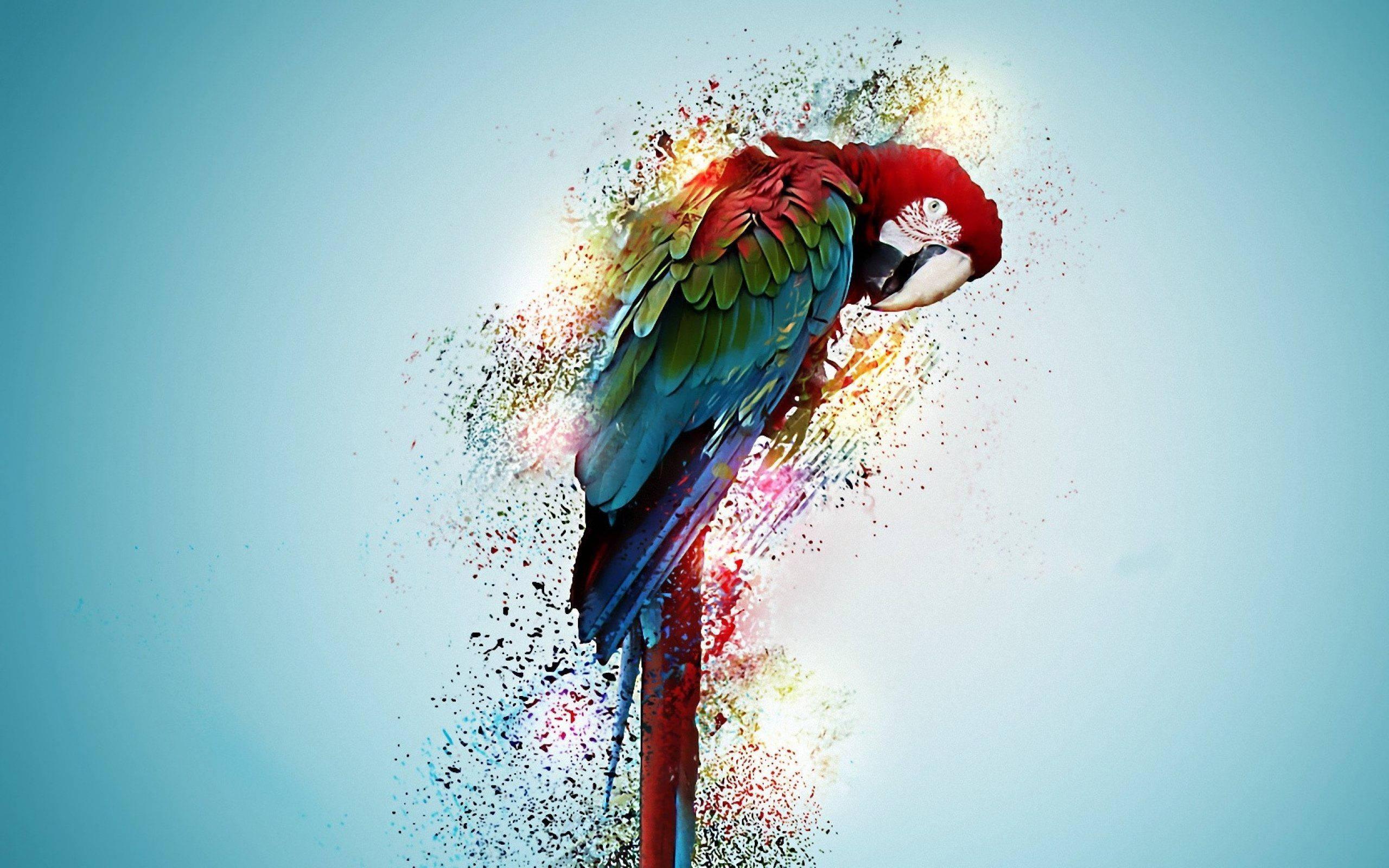 Parrot Bird in a Psychedelic Art — 2560x1600 wallpaper