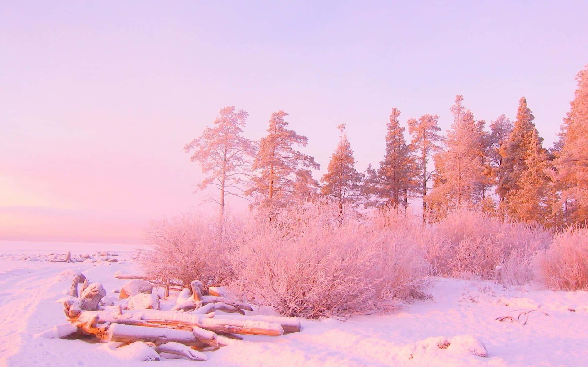 Pastel Aesthetic background — 1920x1200 wallpaper