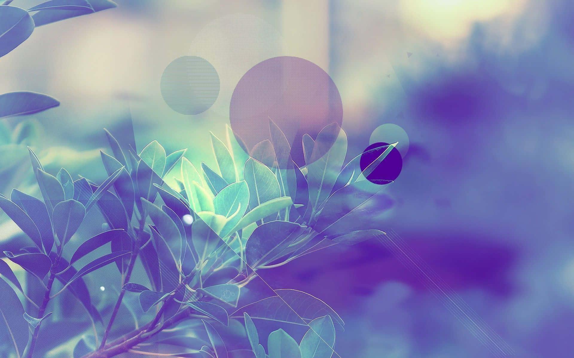 Pastel Aesthetic background — 1920x1200 wallpaper