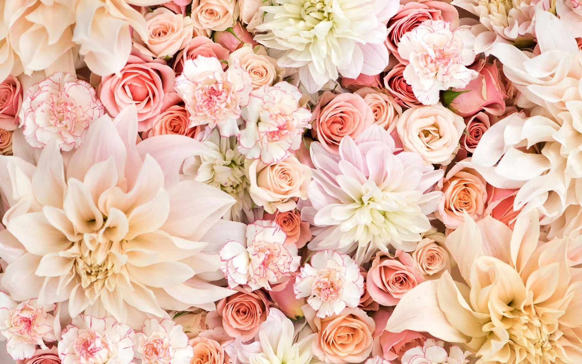 Pastel Flower Wall — 1856x1161 wallpaper