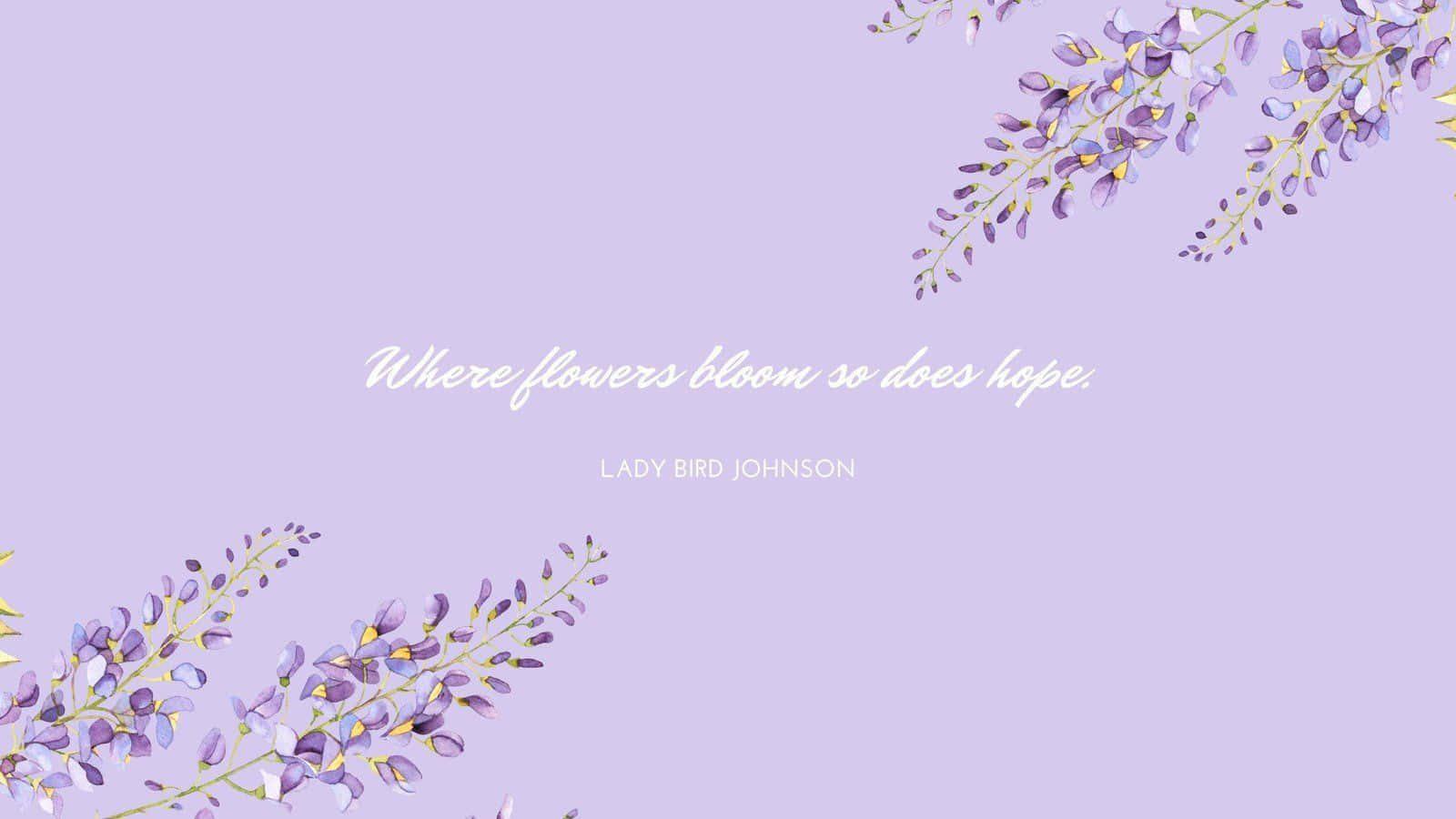 Pastel Purple Background — 1600x900 wallpaper