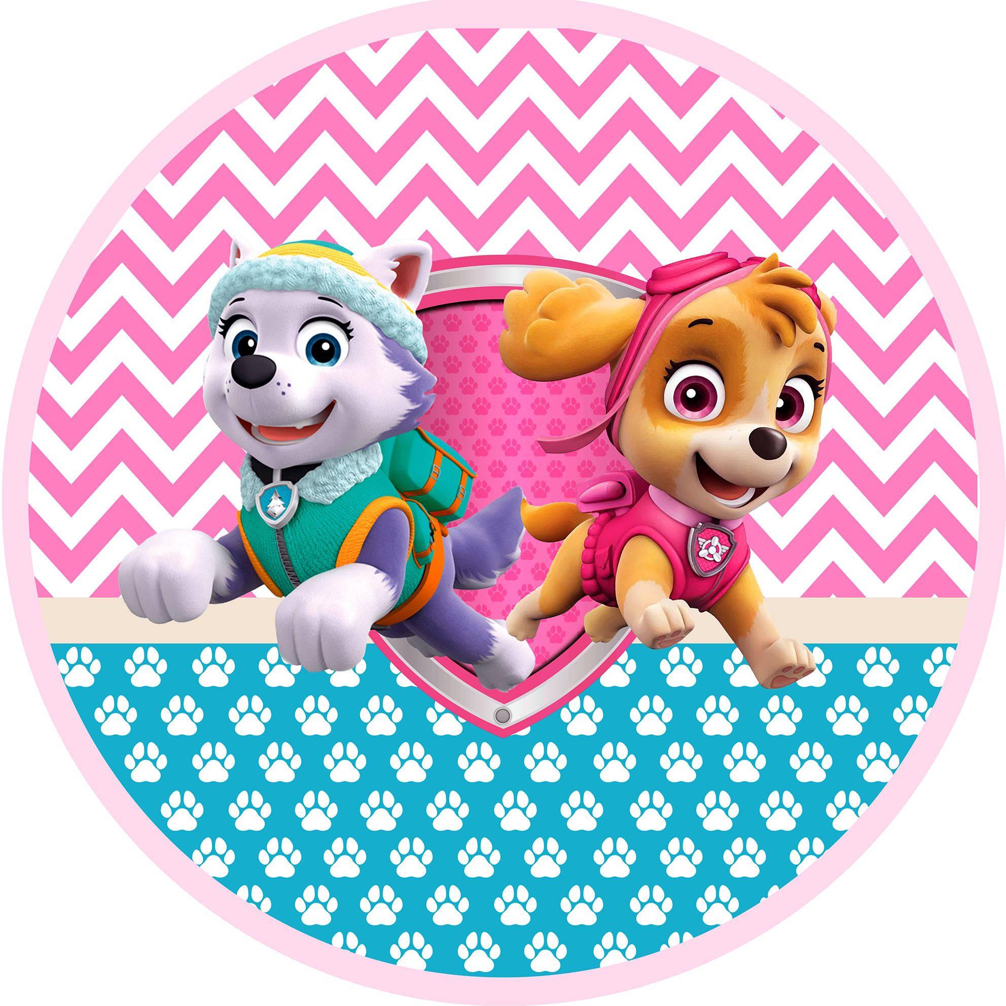 Paw Patrol Everest And Skye — 1984x1984 wallpaper