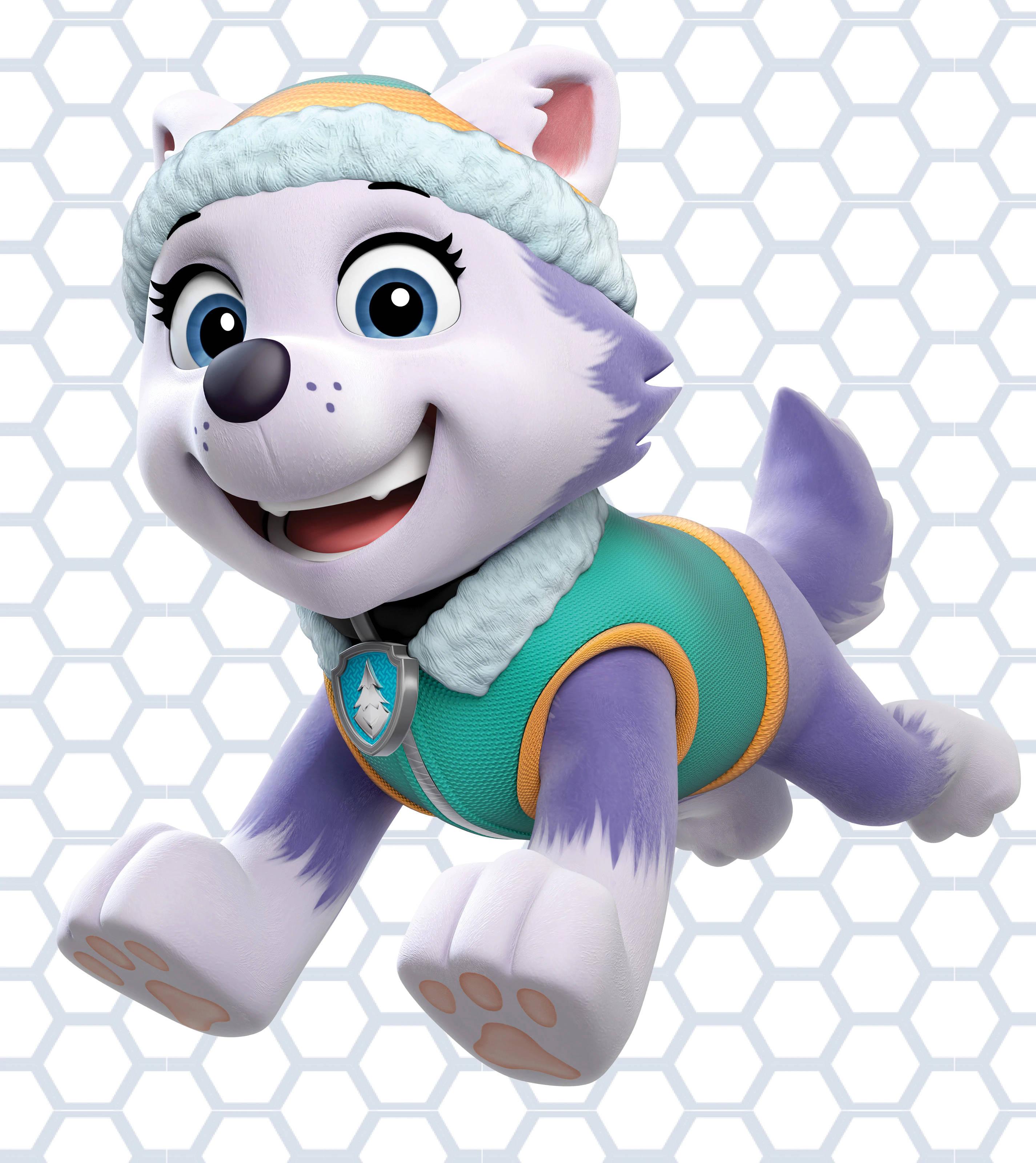 Paw Patrol Everest — 2850x3200 wallpaper