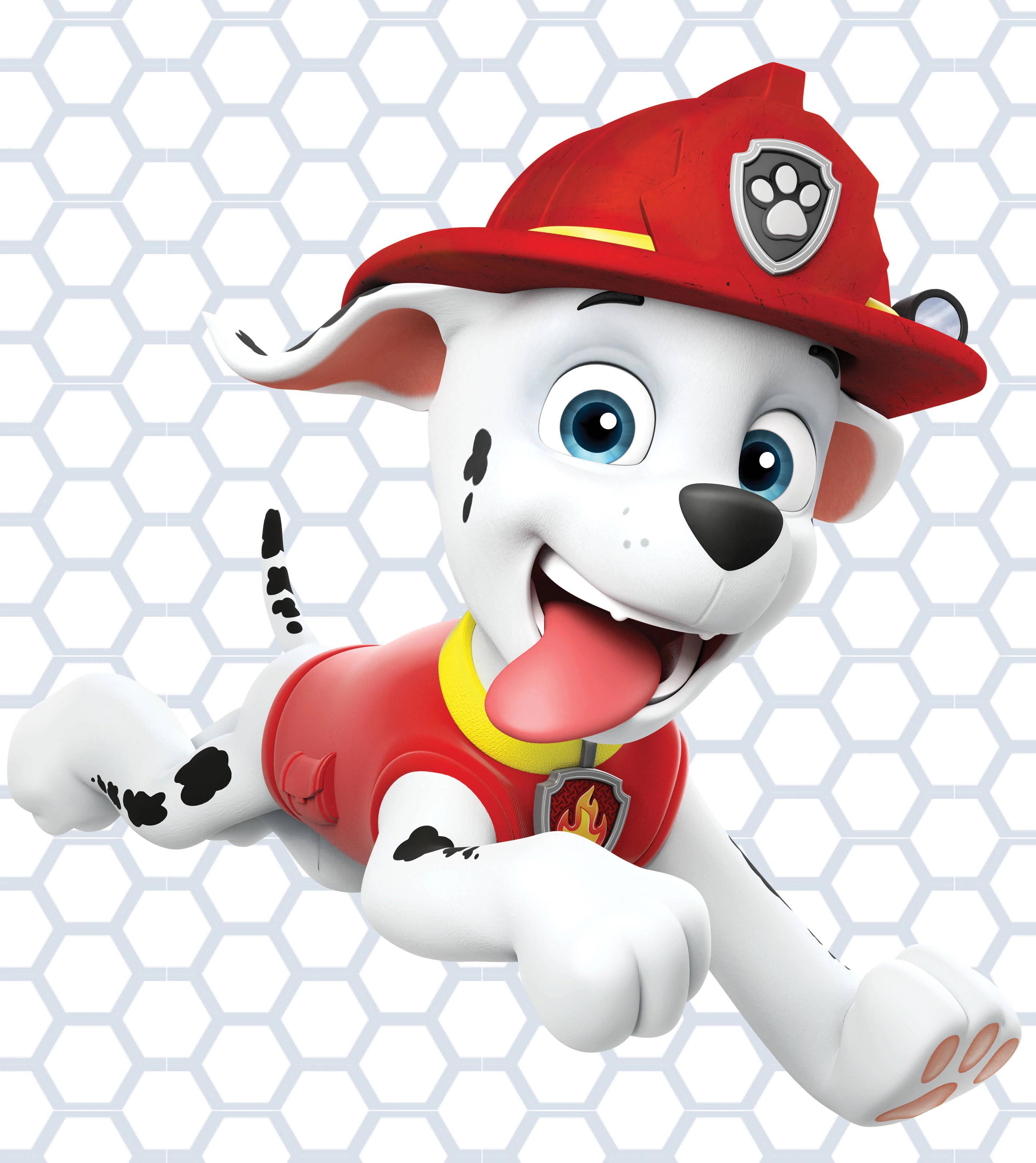 Paw Patrol Marshall — 2850x3200 wallpaper