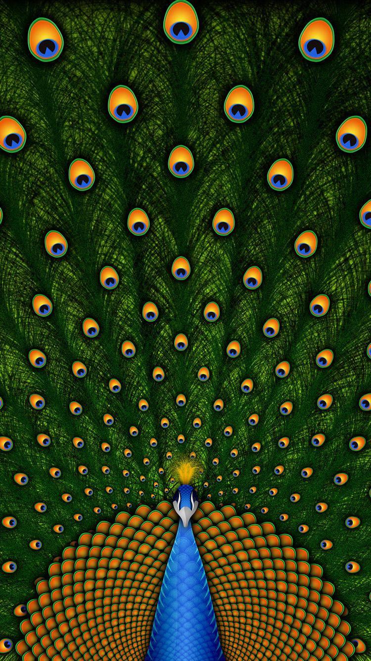 Peacock Train Beautiful Phone — 750x1334 wallpaper
