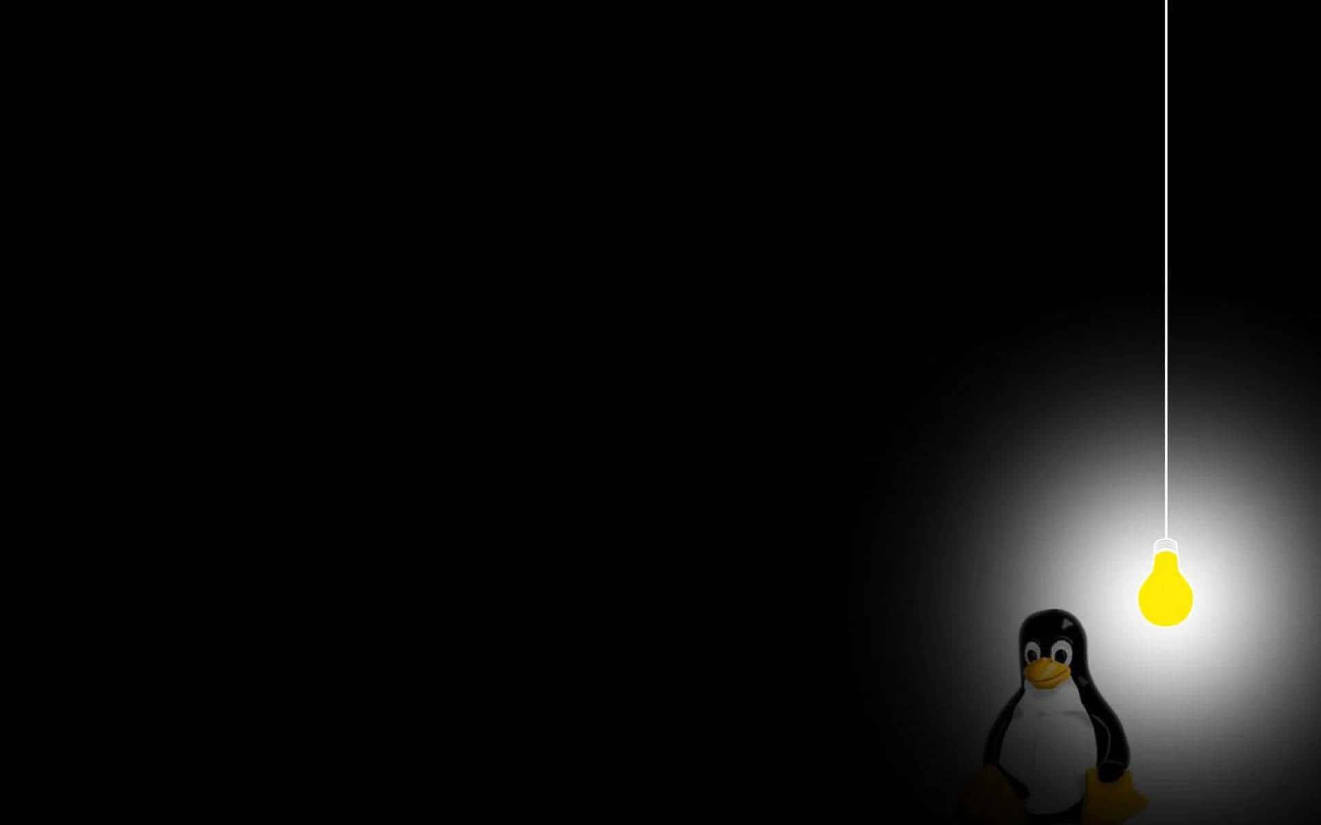 penguin with light bulb in the dark — 1920x1200 wallpaper