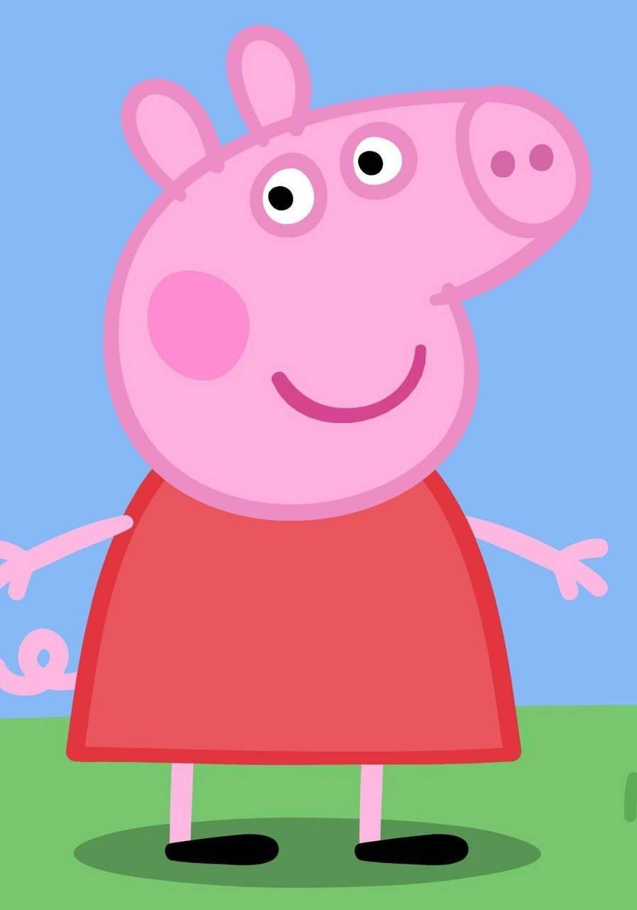 Peppa Pig feeling summer vibes — 897x1280 wallpaper