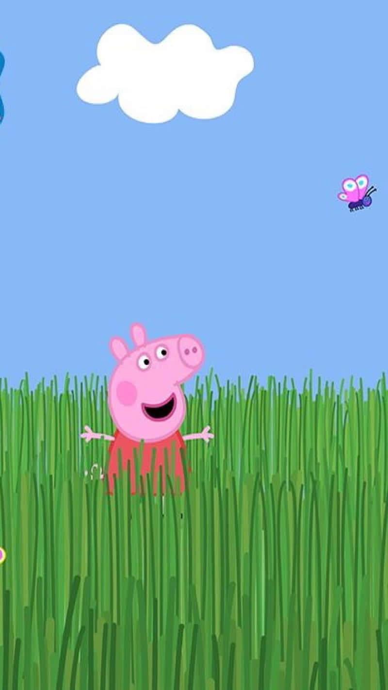 Peppa Pig pictures — 800x1422 wallpaper