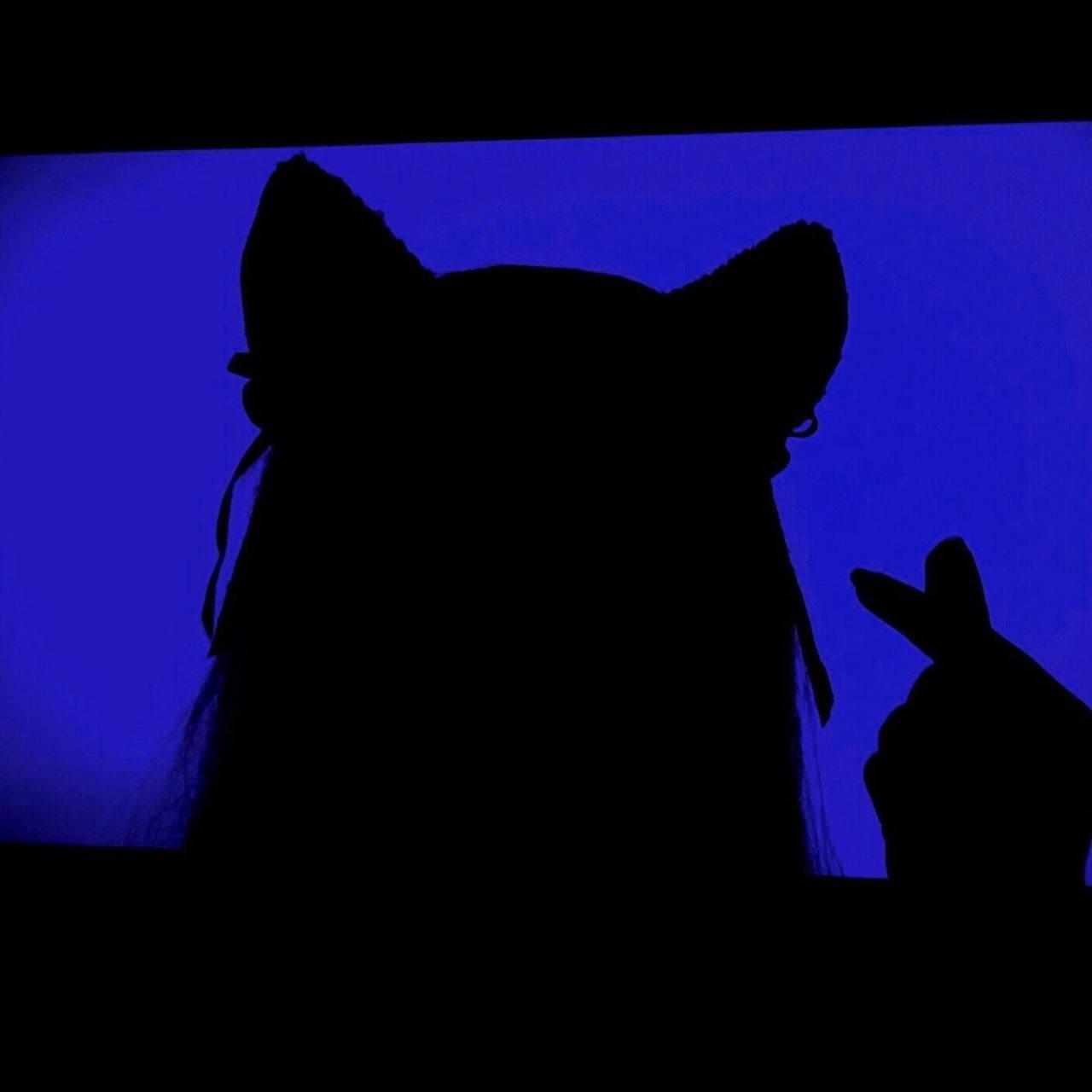 PFP Aesthetic Featuring Girl With Cat Ears — 1280x1280 wallpaper