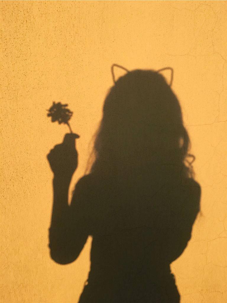PFP Aesthetic Girl With Cat Ears And Rose — 768x1024 wallpaper