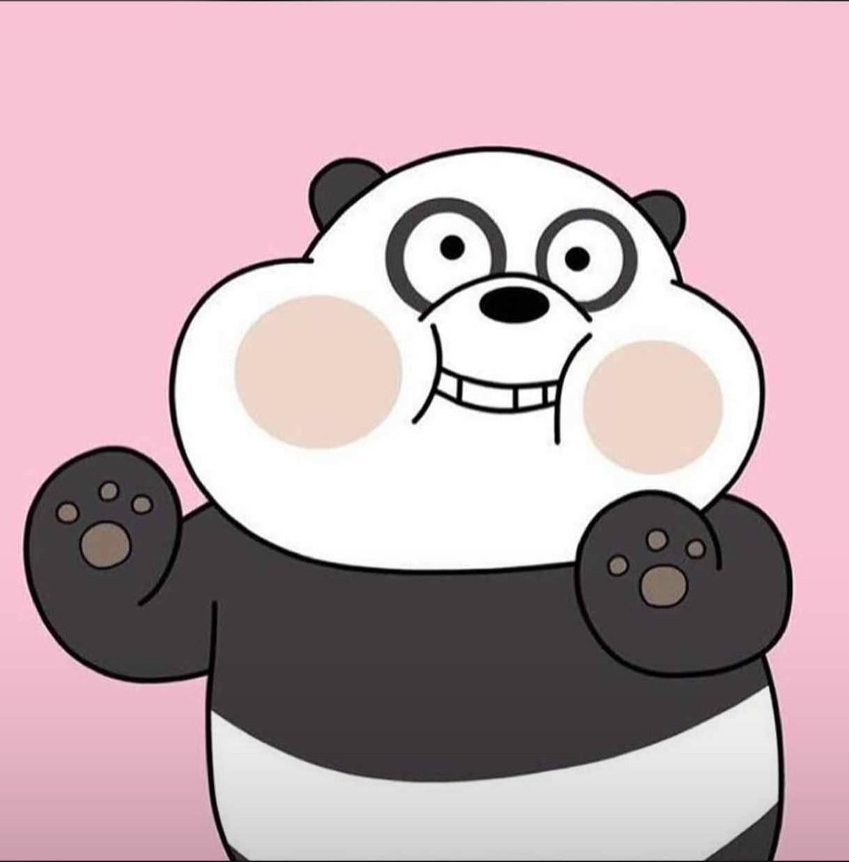 PFP Aesthetic Panda — 1219x1237 wallpaper