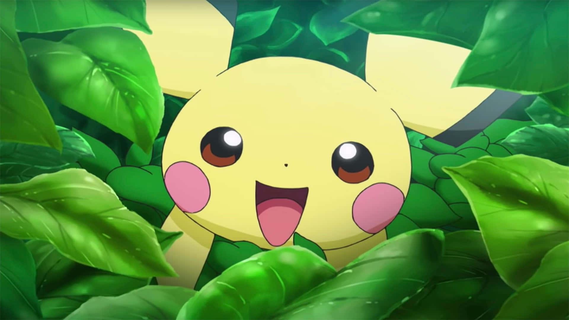 Pikachu Sneaking Out From The Leaves Picture — 1920x1080 wallpaper