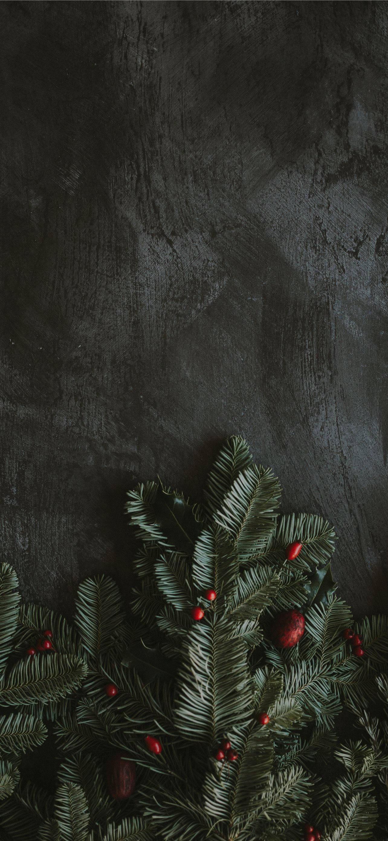 Pine Leaves iPhone Dark — 1284x2778 wallpaper