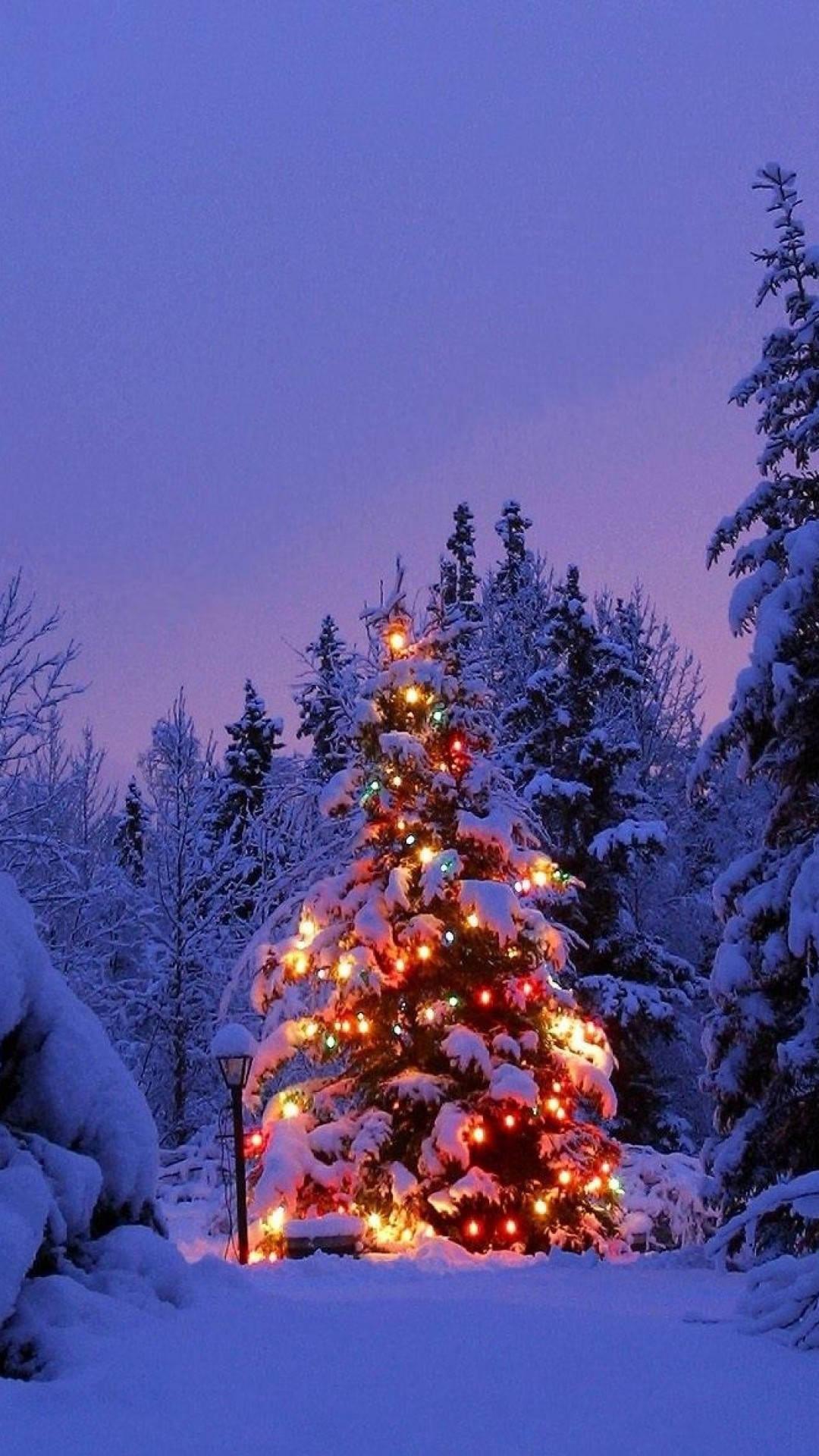 Pine Tree Christmas Light Winter iPhone — 1080x1920 wallpaper