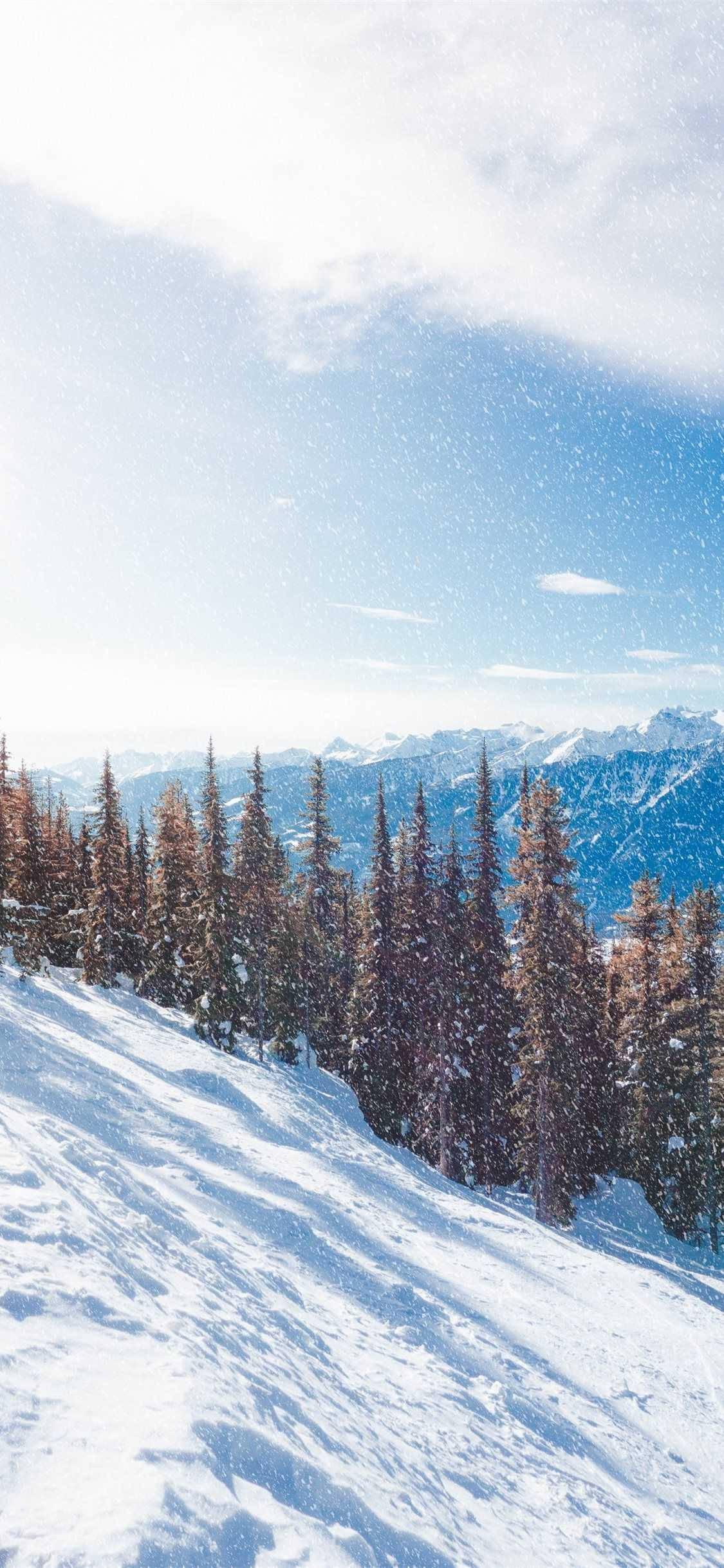 Pine Trees On Mountain Winter iPhone — 1125x2436 wallpaper
