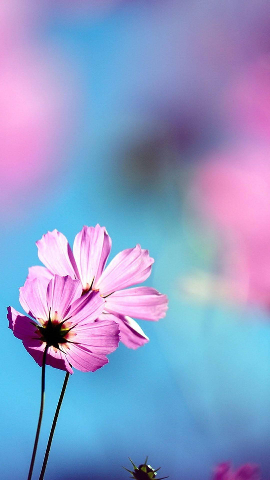 Pink Flowers Pretty Phone — 1080x1920 wallpaper