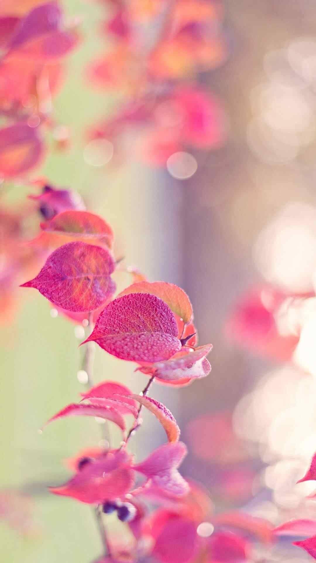 Pink Leaves Pretty Phone — 1080x1920 wallpaper