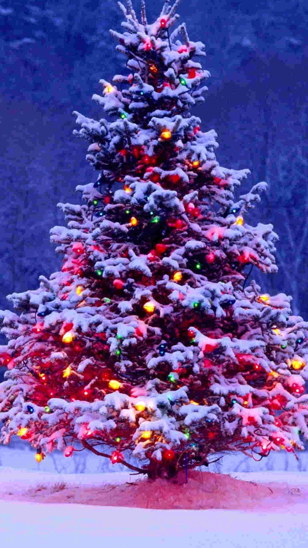 Pink Pine Tree Christmas IPhone — 1080x1920 wallpaper