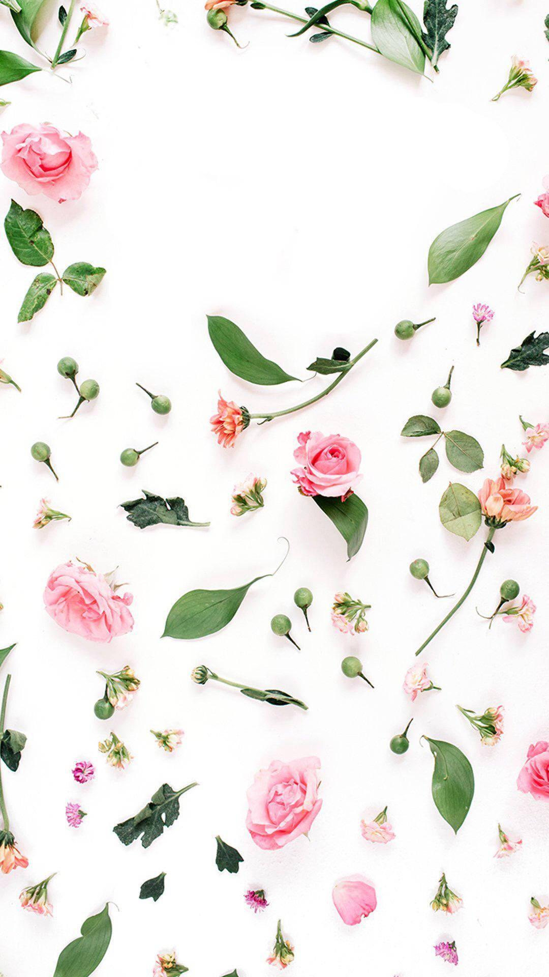 Pink Rose Petals Fall IPhone — 1080x1920 wallpaper