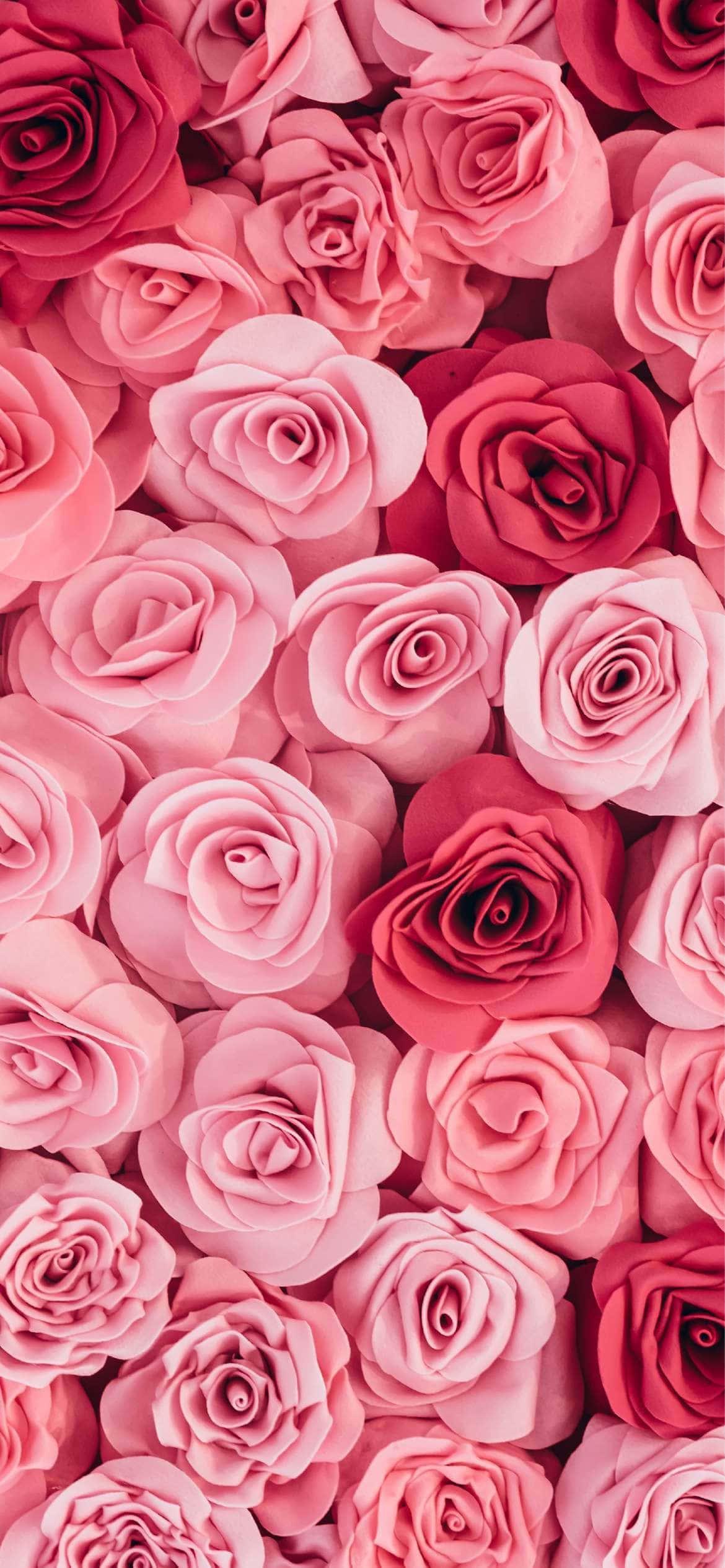 Pink Roses Top View Shot Phone Background — 1170x2531 wallpaper