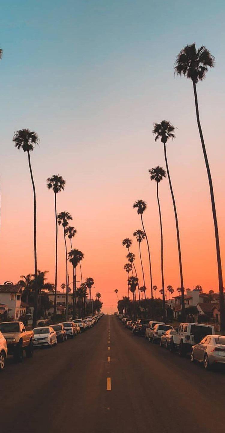 Pink Sunset Road Summer iPhone — 750x1441 wallpaper