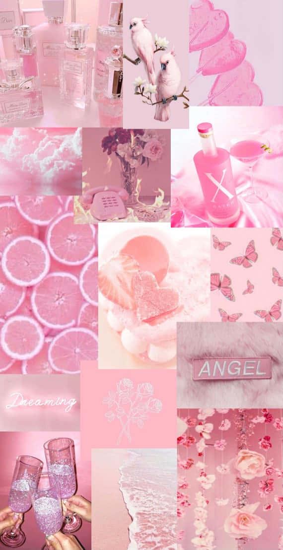 pink wallpapers - wallpapers for pc — 570x1108 wallpaper