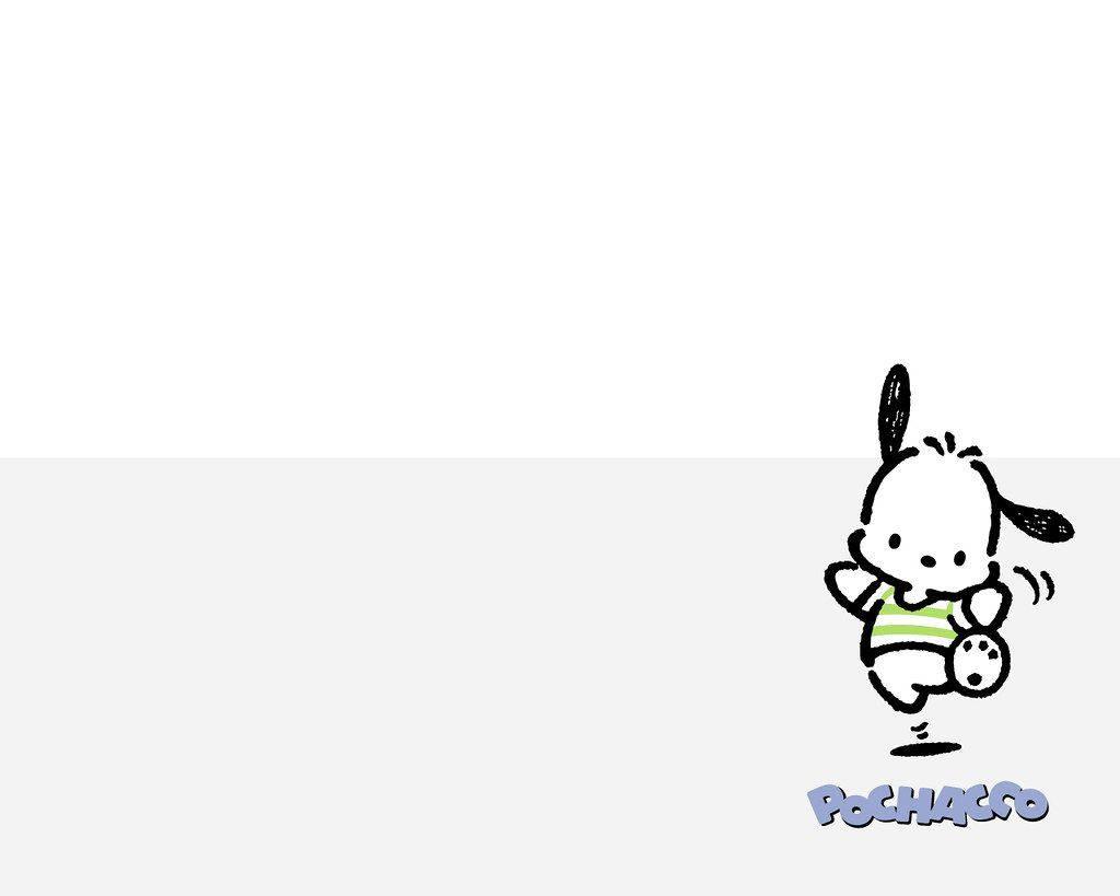 Pochacco Cute White Art — 1024x819 wallpaper
