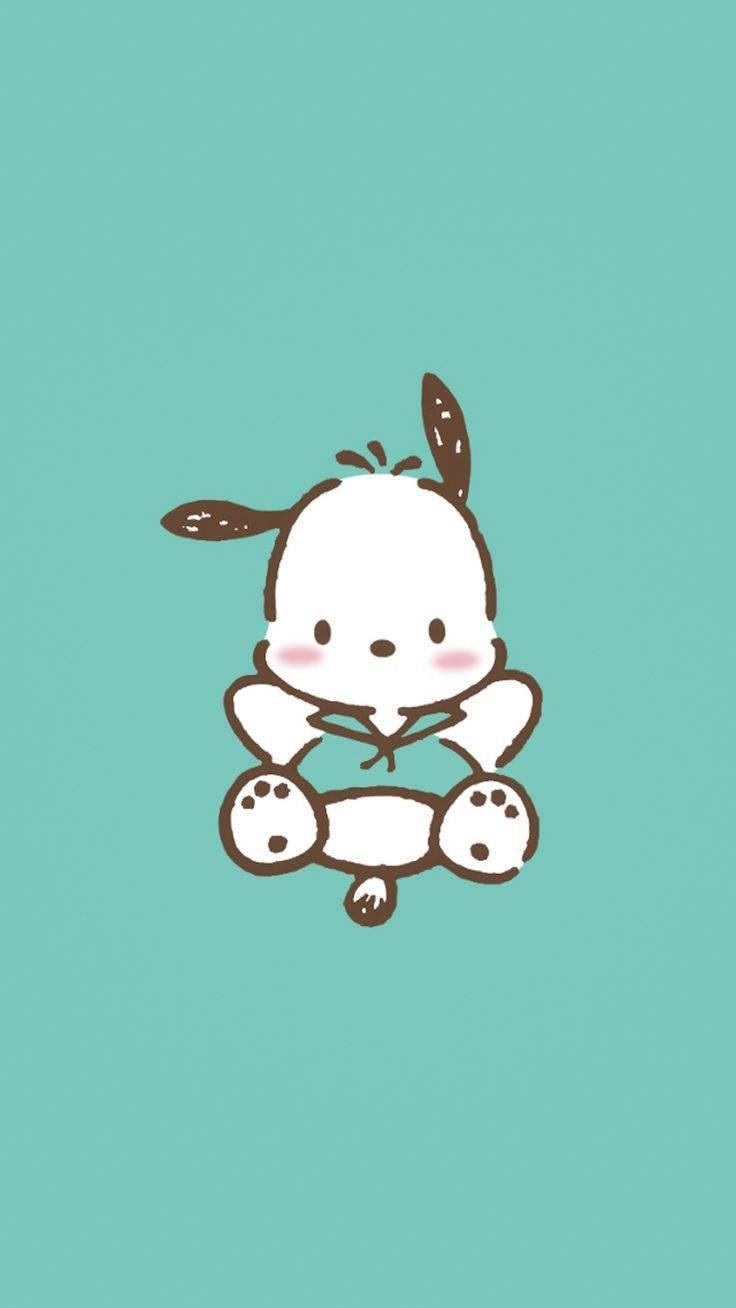 Pochacco In Turquoise Shirt — 736x1308 wallpaper