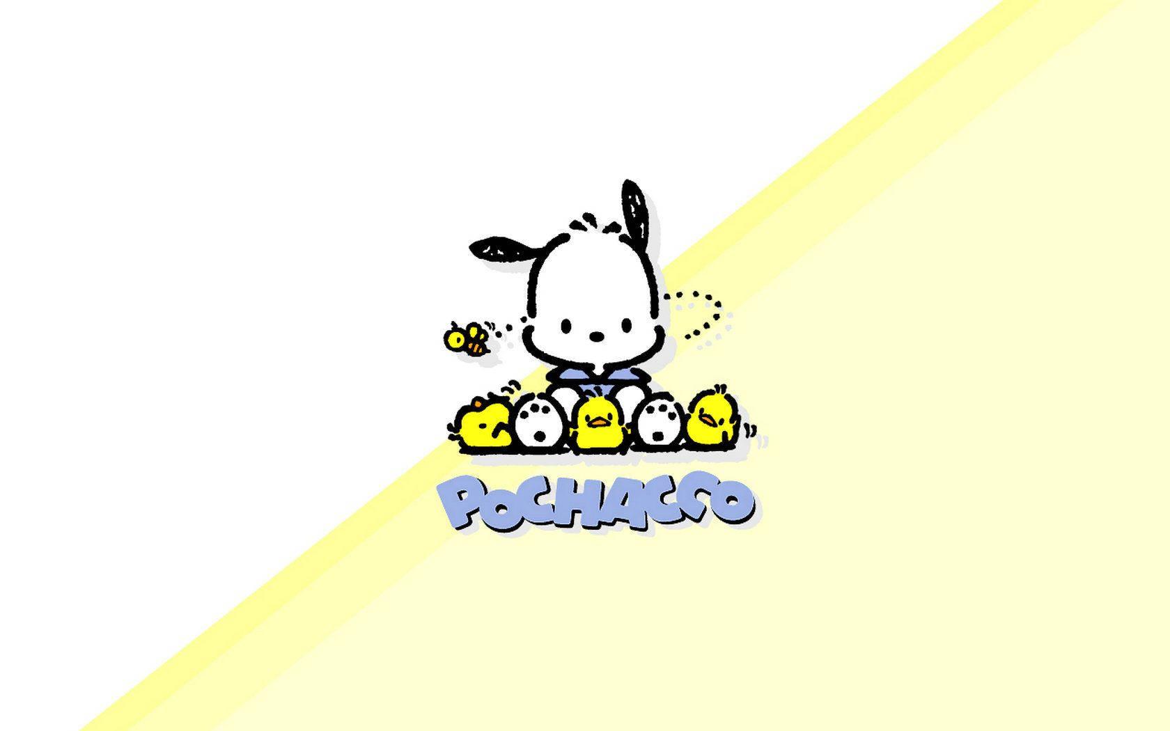 Pochacco In Two-Toned Poster — 1680x1050 wallpaper