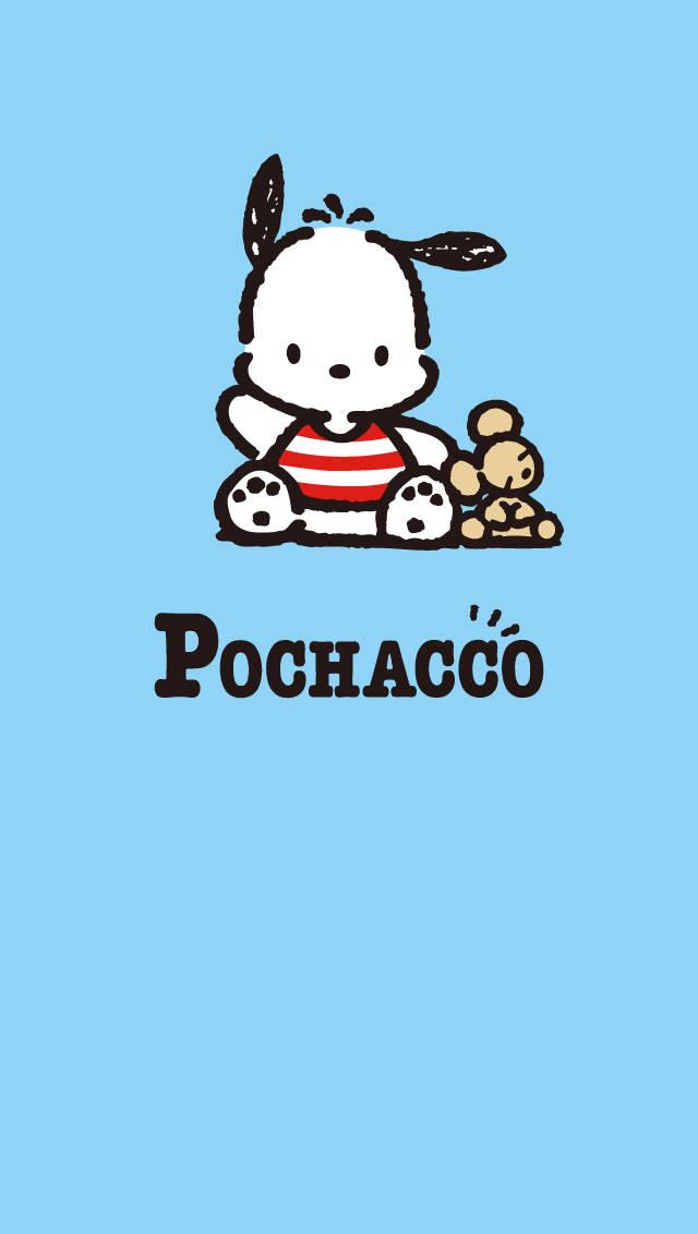 Pochacco Red And White Shirt — 640x1132 wallpaper