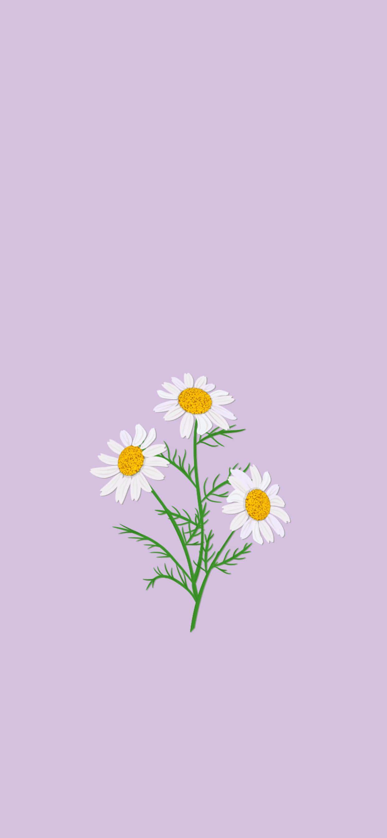Pretty Phone 1242 x 2688 background — 1242x2688 wallpaper