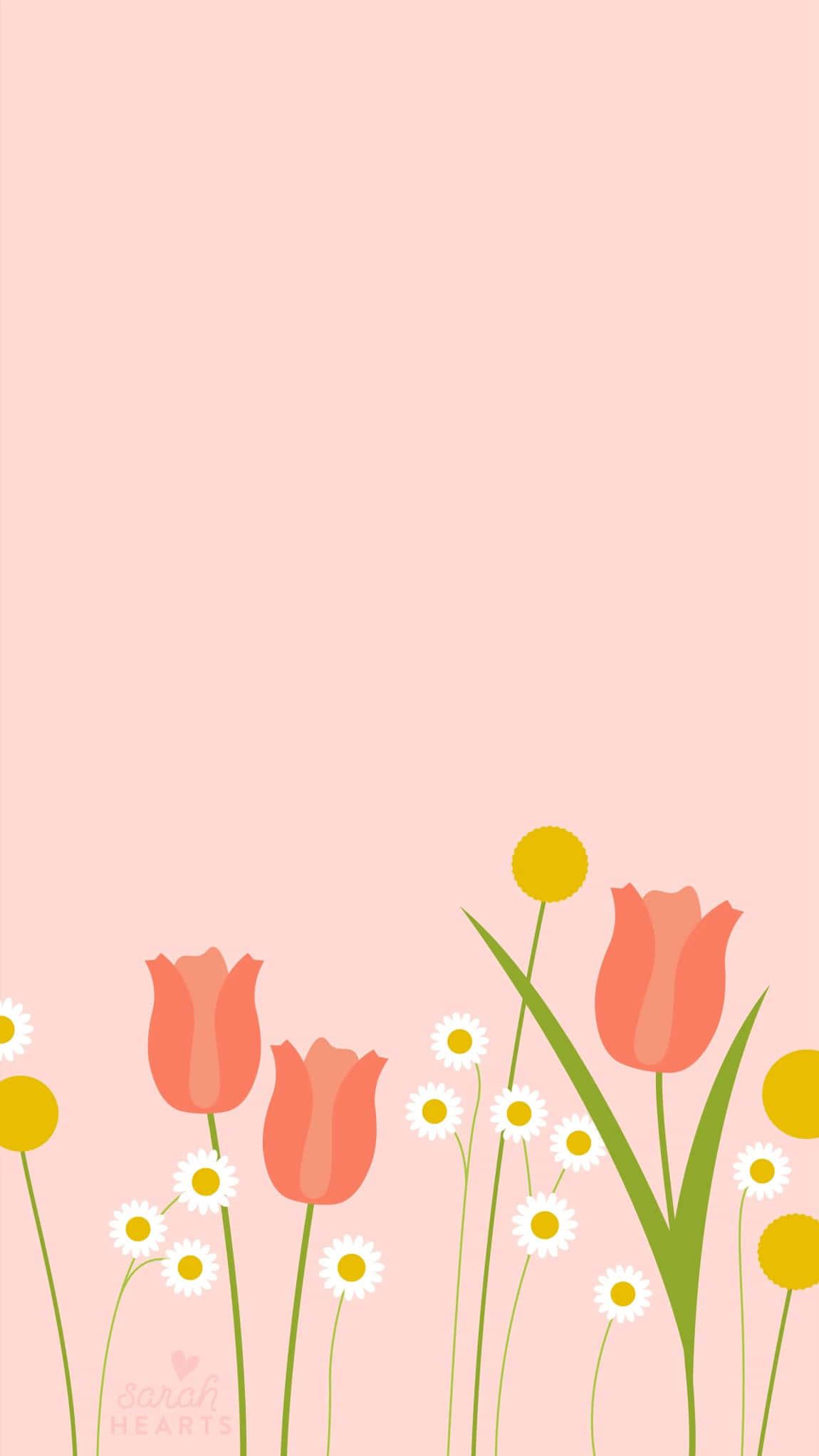 Pretty Sunset Beach Phone Background — 1150x2044 wallpaper