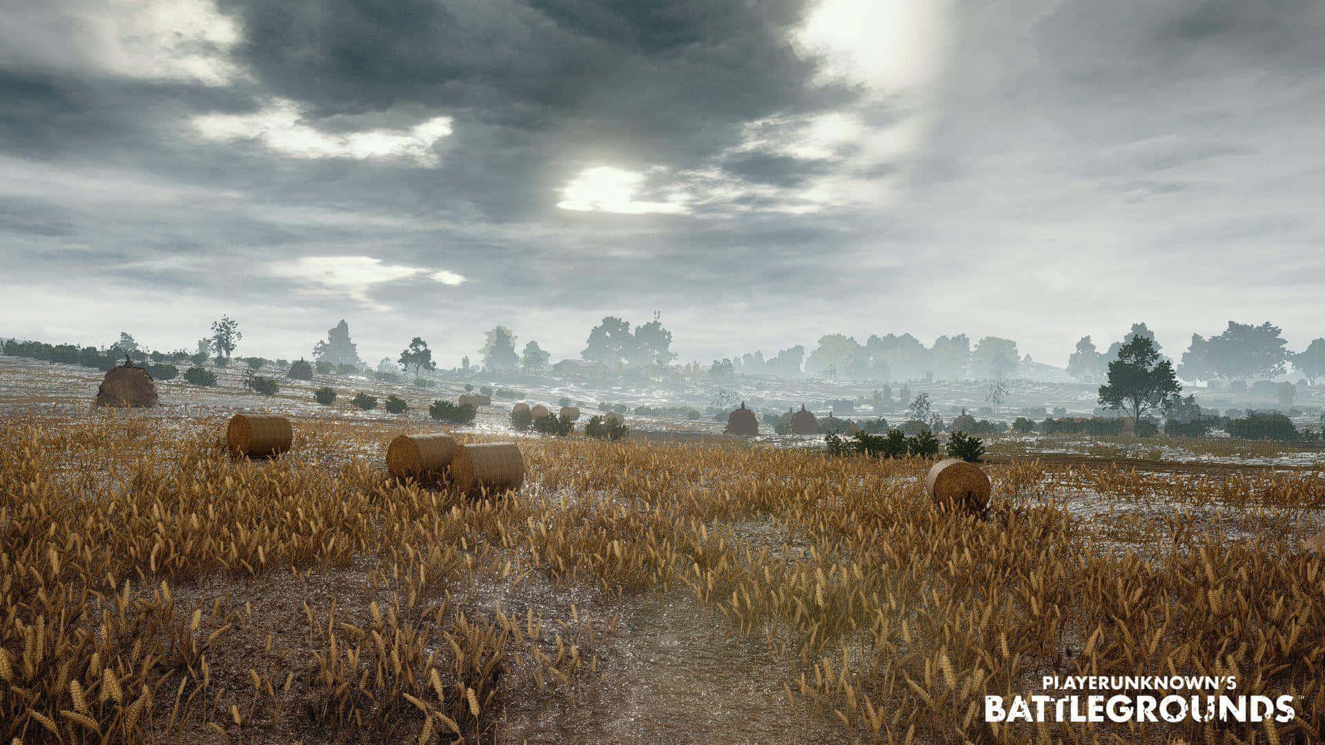 pubg - a field with hay bales — 1920x1080 wallpaper