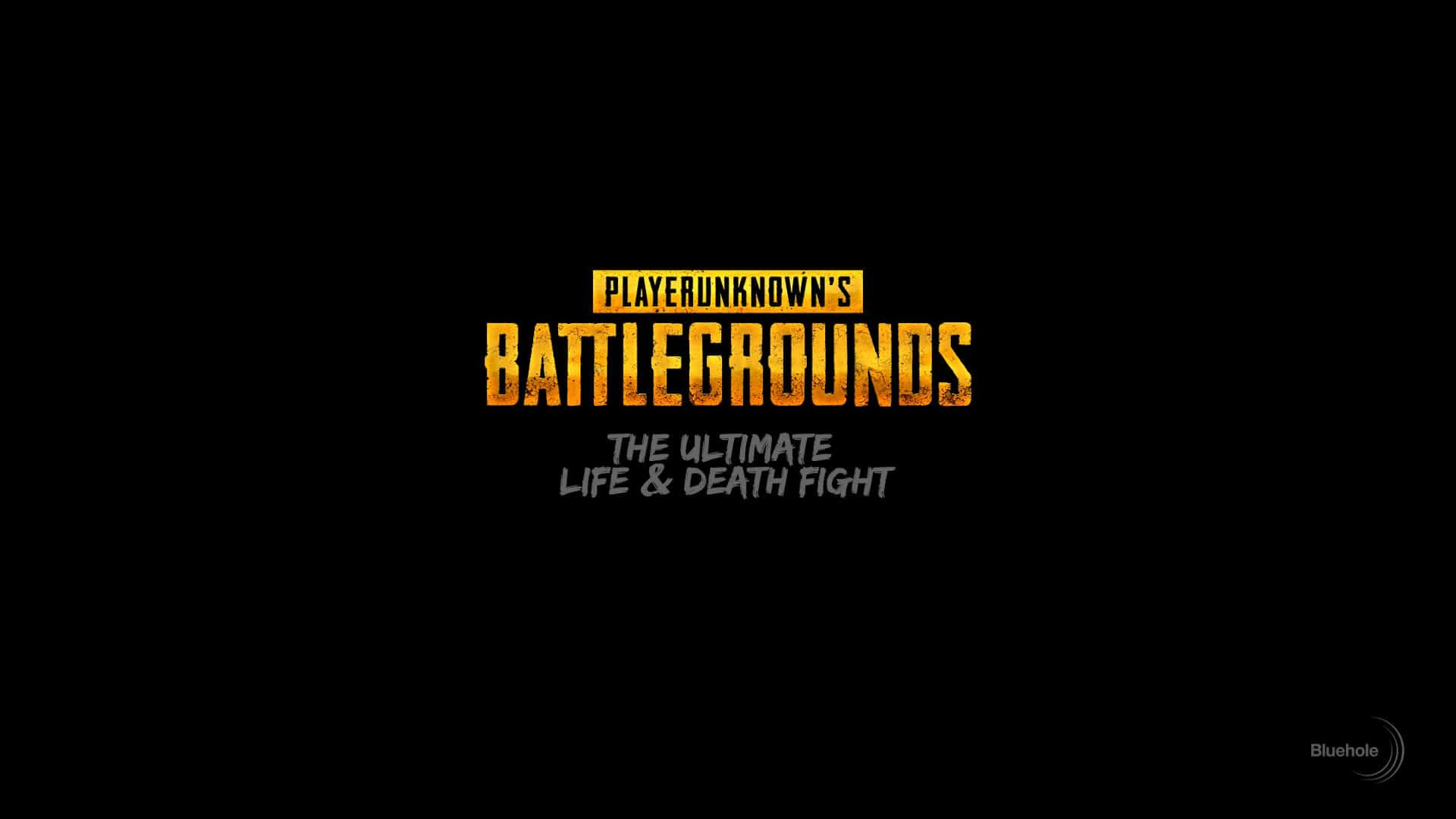 pubg battlegrounds - the ultimate life and death fight — 1920x1080 wallpaper