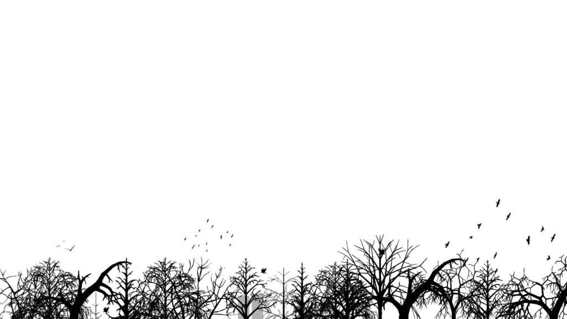Pure and serene, white aesthetic provides tranquility. — 1920x1080 wallpaper