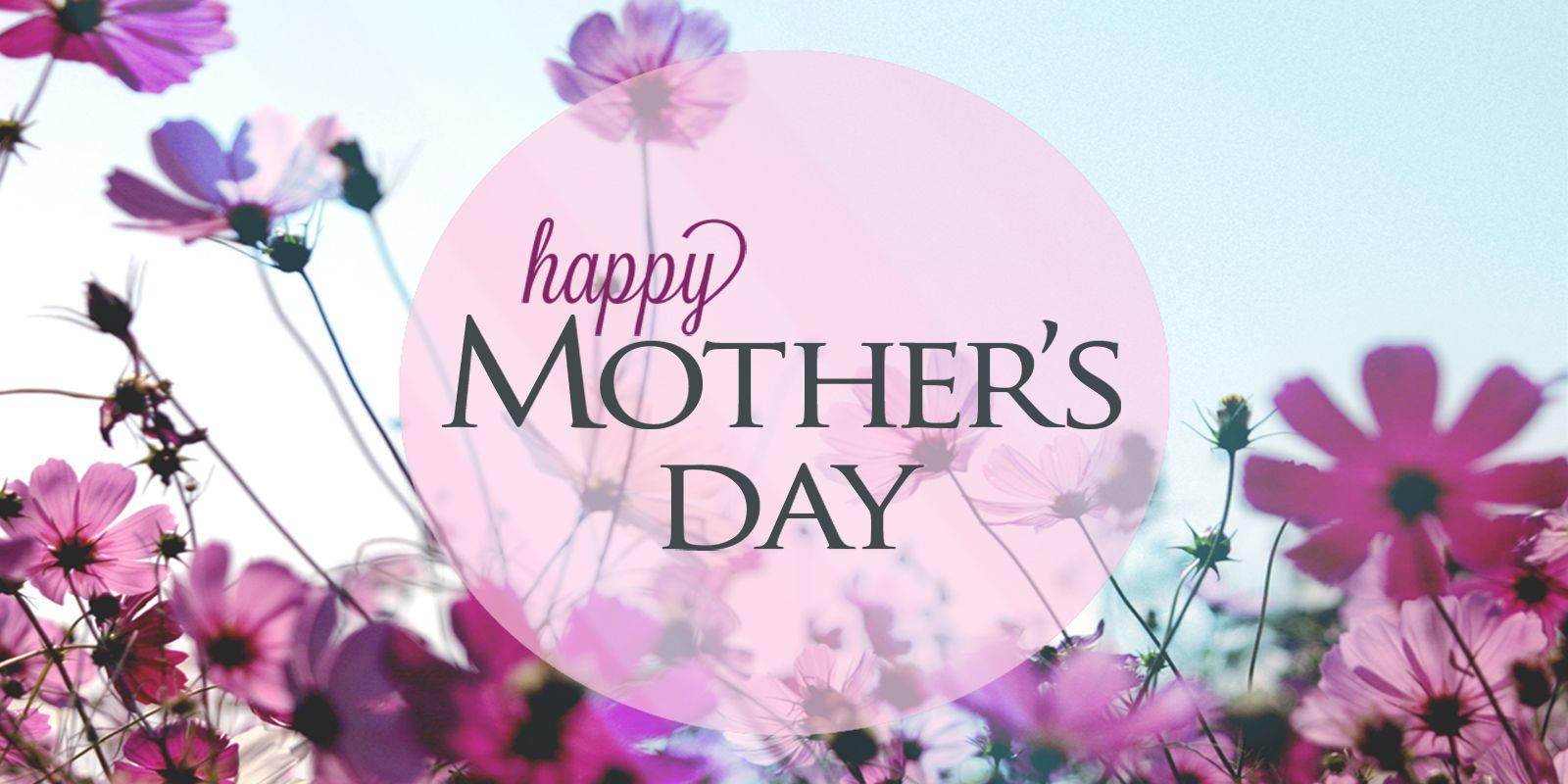 Purple Flowers Mother's Day Greeting — 1600x800 wallpaper